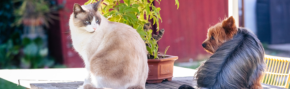 Weitere Informationen: